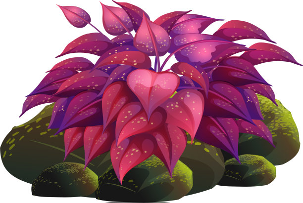 紫色的叶子和岩石在白色的背景图片下载
