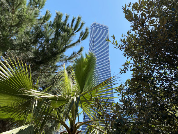 透过树林可以看到摩天大楼。大的建筑图片下载