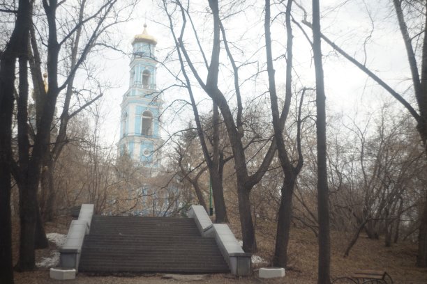 有建筑物、树木、灌木和人行道的景观。图片下载