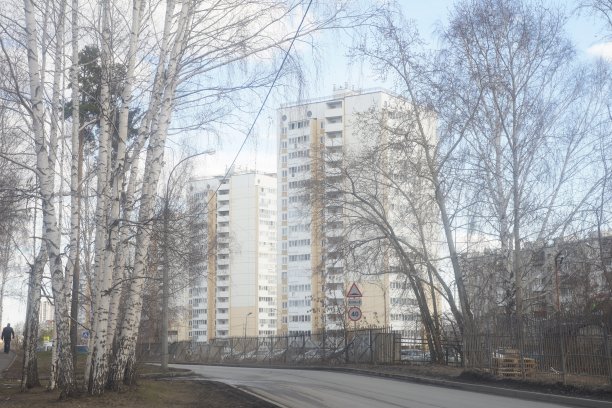 有建筑物、树木、灌木和人行道的景观。图片下载