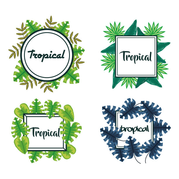 用热带树叶装饰镜框图片下载