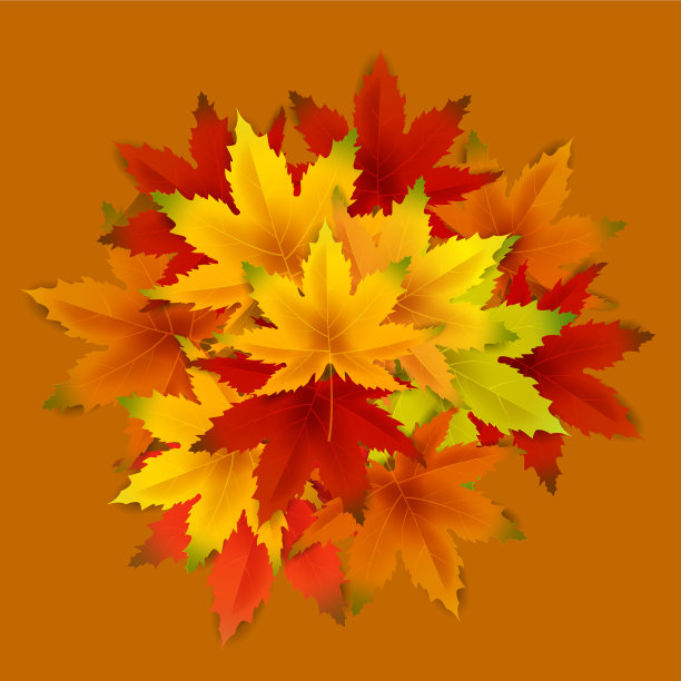 秋天的背景模板与落束图片下载