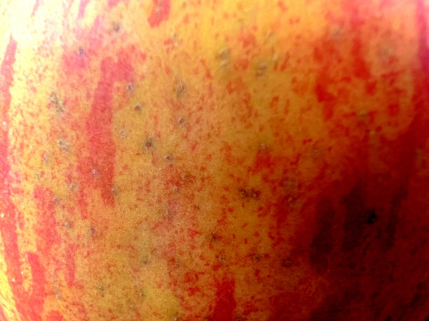 苹果皮:苹果的黄红果皮，作为质地或背景图片下载