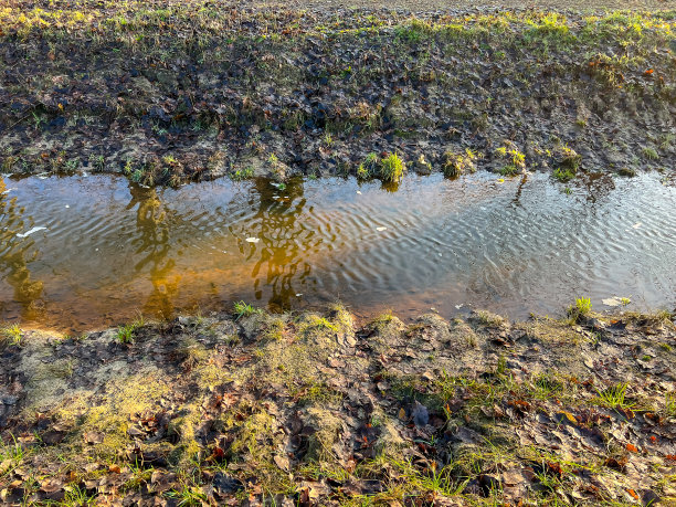 潺潺的小溪图片下载