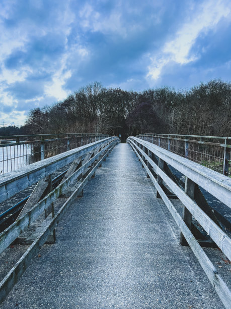 冬天在森林旁边的河上的一座桥。图片下载