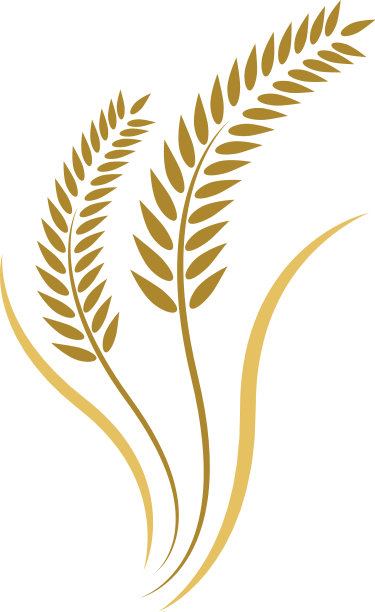 小麦图标设计图片下载