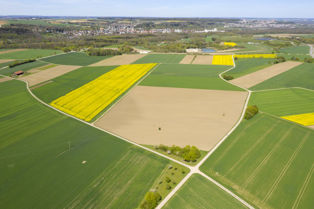 绿色环境中的黄色油菜田和房屋，鸟瞰图图片下载