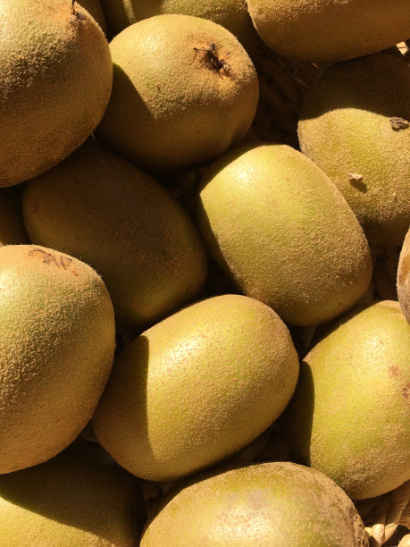 黄金奇异果图片下载