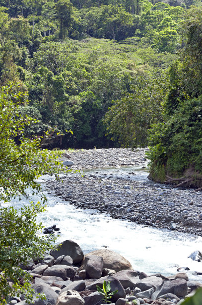 帕奎尔河肖像，利蒙省，哥斯达黎加图片下载