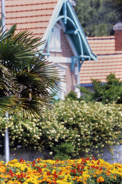 野鹿和房子图片下载