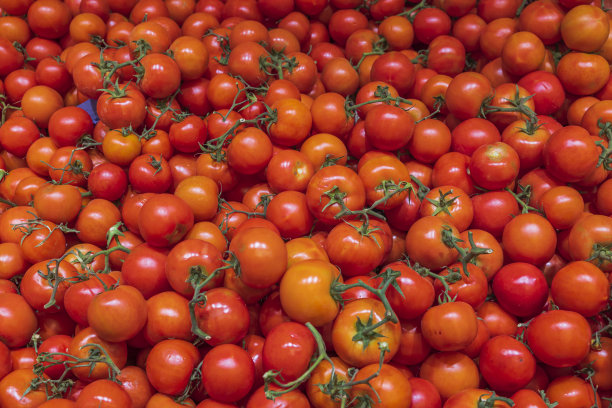 近距离观察孤立的番茄在货架上的商店。健康食品的概念。瑞典。图片下载