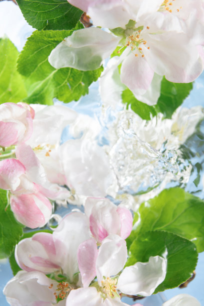 花在波浪和泡沫的涟漪水。用于装饰设计的平板。美丽，自然，水疗理念。关闭了。时尚的光图片下载