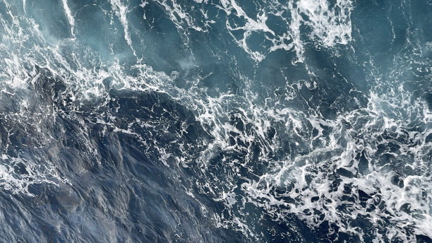 海洋之后图片下载