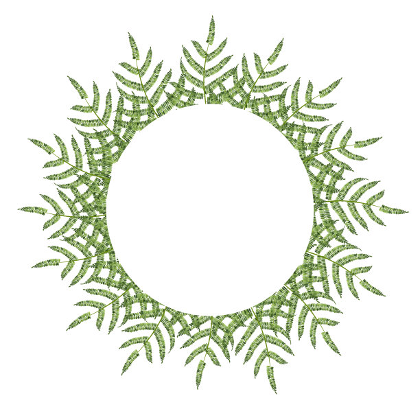 水彩绿蕨花环。手绘插图贺卡。婚礼的邀请。假期的植物画。图片下载