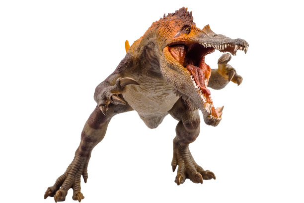 重洋龙，白色背景上的恐龙图片下载