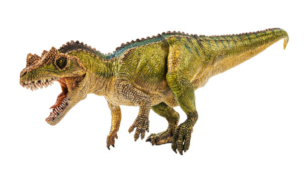角鼻龙，白色背景上的恐龙图片下载