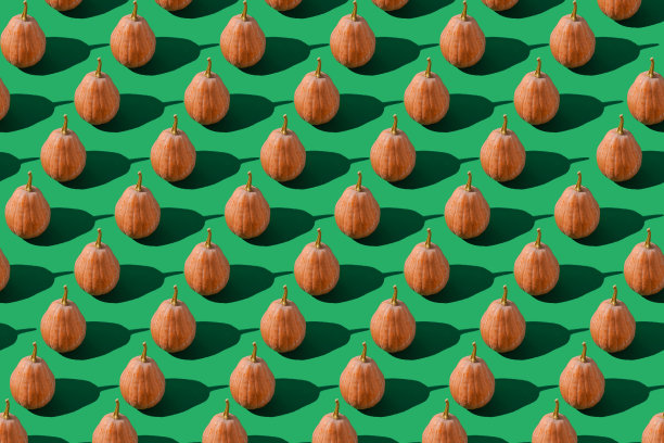 南瓜图案背景。秋天的收获。南瓜。感恩节。万圣节的食物图片下载