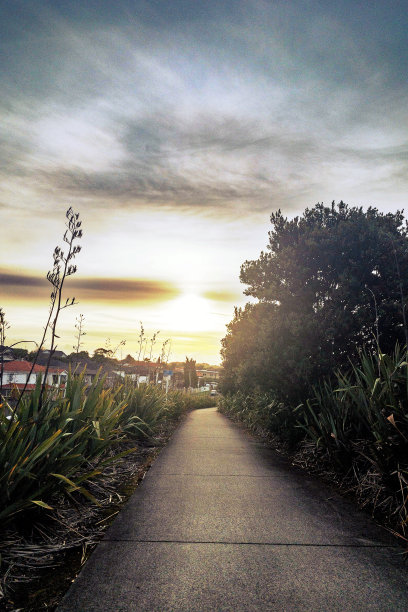 灌木丛间的混凝土通道图片下载