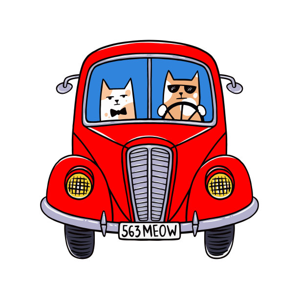 猫在开车图片下载