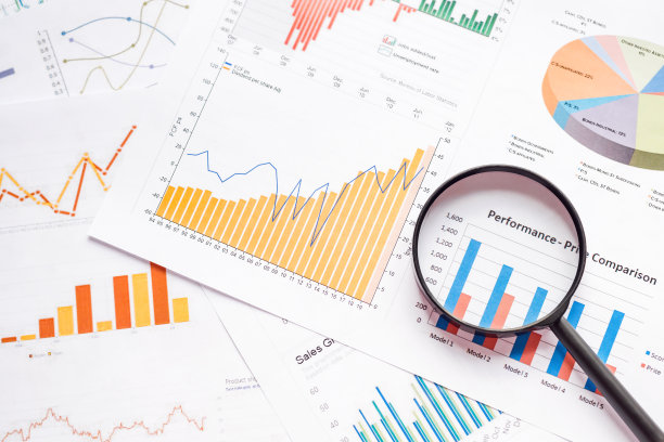 检查财务报告。图形和图表。文件和放大镜图片下载