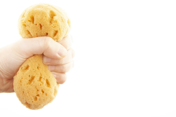 海绵手白色背景图像图片下载