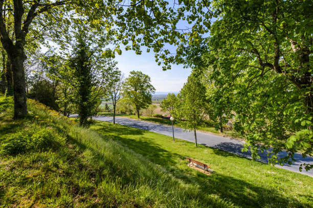 Lautrec村的树径图片下载