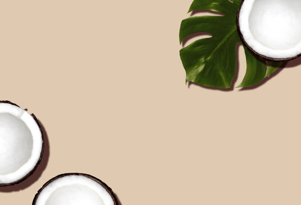 热带设计模板。前视图。图片下载