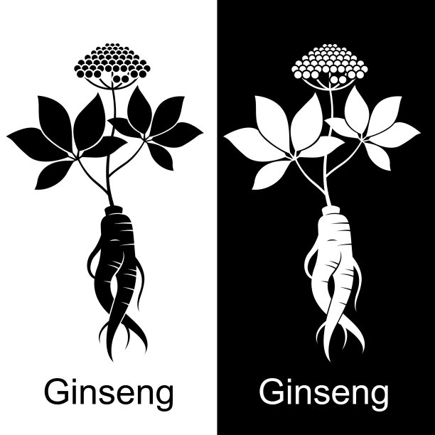 人参根集图片下载