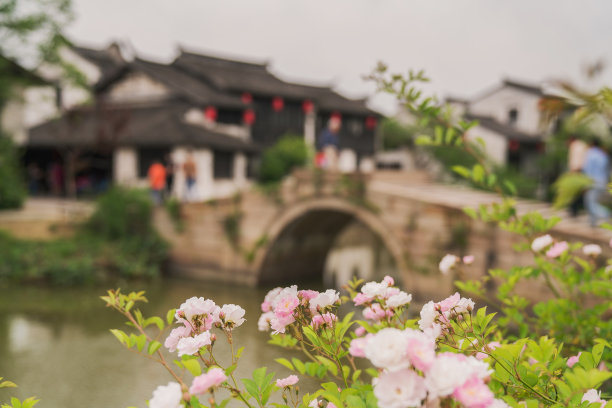 中国江苏省苏州市周庄古镇古建筑与旅游景观图片下载