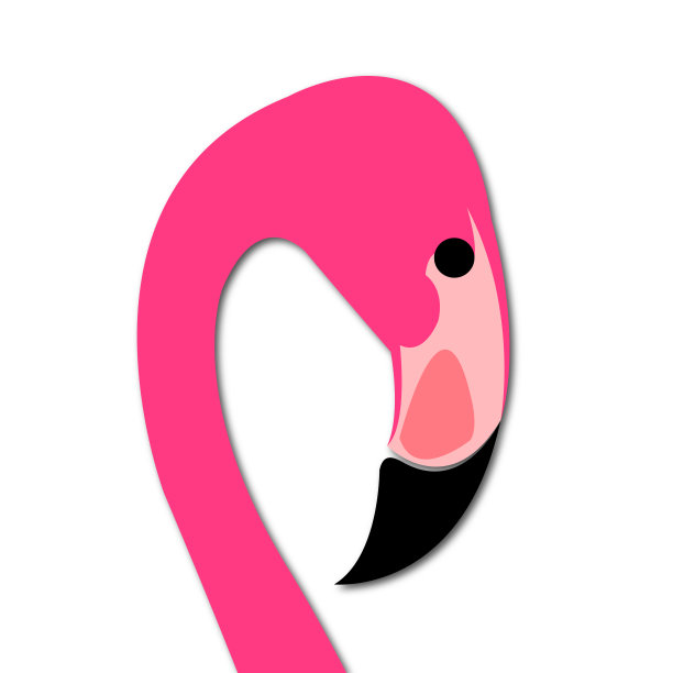 粉红色的火烈鸟图片下载