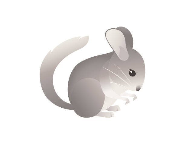 小灰栗鼠可爱的毛茸茸的宠物卡通动物设计矢量插图孤立在白色背景图片下载