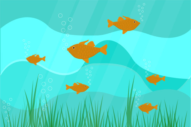 海底有金鱼，海底有海星和海藻图片下载