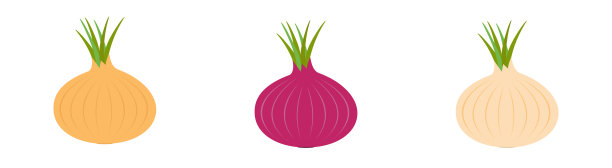 洋葱成熟球茎与绿色芽图标集线图片下载