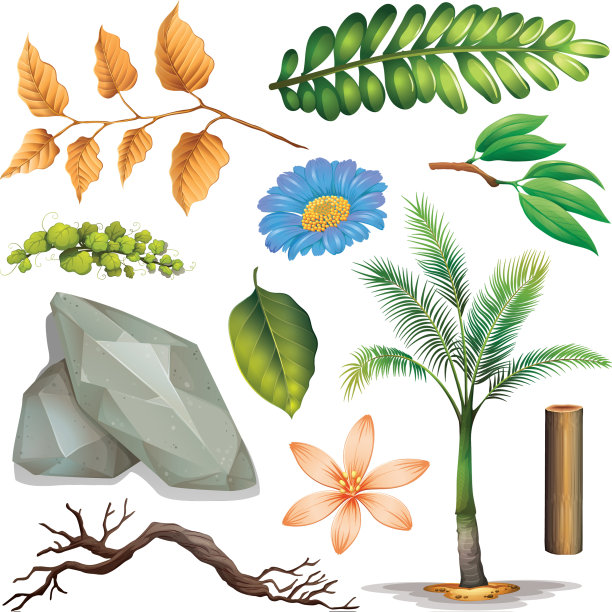 设置孤立的对象主题园艺图片下载