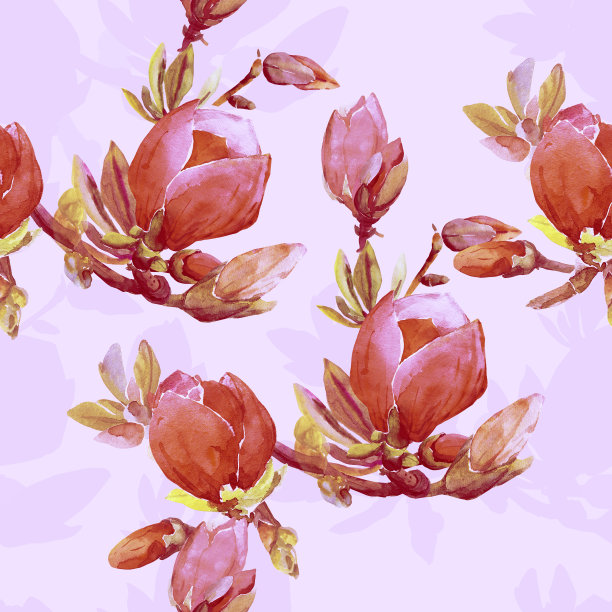 无缝图案的木兰枝图片下载