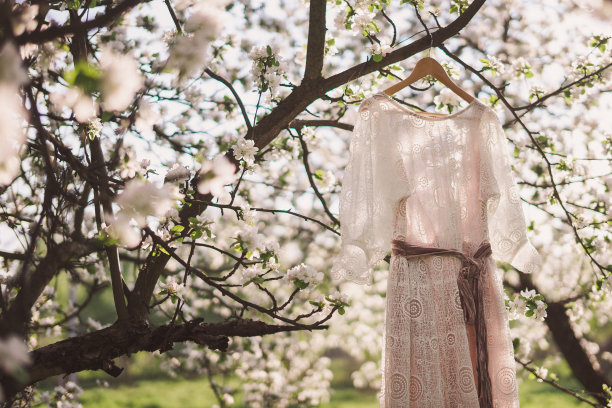 夕阳下，美丽的蕾丝裙挂在春天花园盛开的树上图片下载