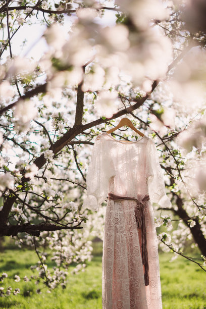 夕阳下，美丽的蕾丝裙挂在春天花园盛开的树上图片下载