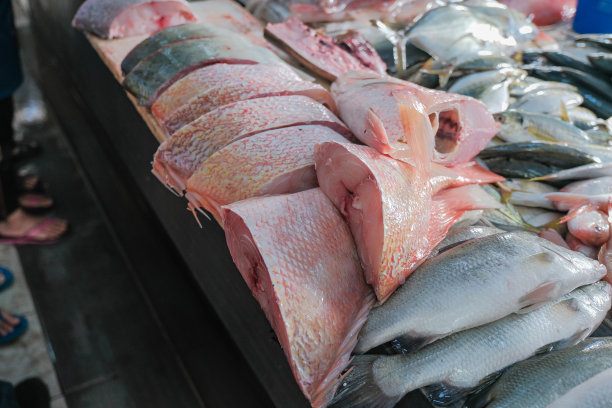 鱼市上的鲜鱼。图片下载