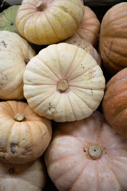 一些南瓜，橙色，白色和绿色的，准备在农贸市场或超市出售。图片下载