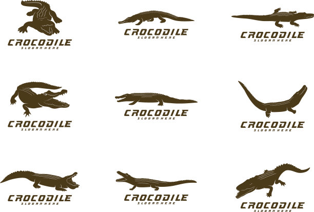 设置鳄鱼徽标鳄鱼徽标模板图片下载