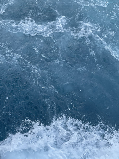 海洋之后图片下载