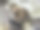 蹒跚学步的女孩与母亲的笔记本图片下载