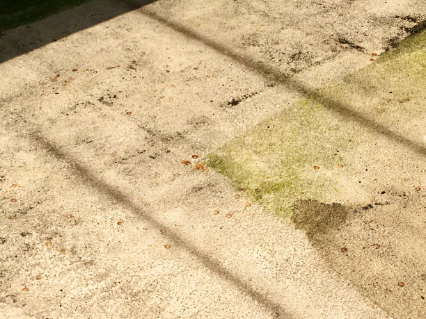 脏甲板需要动力清洗图片下载