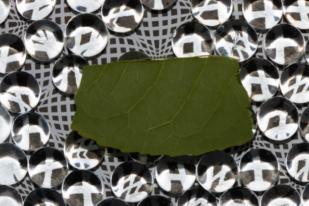 抽象的黑白把戏背景，中间以玻璃球和绿叶作为复制空间，创意未来主义的现代设计图片下载