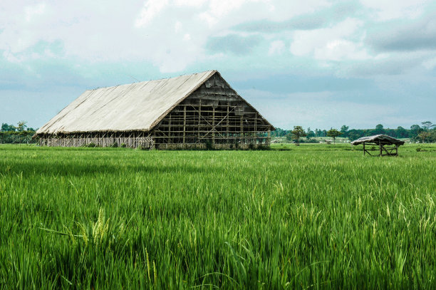 烟草烘干机小屋图片下载