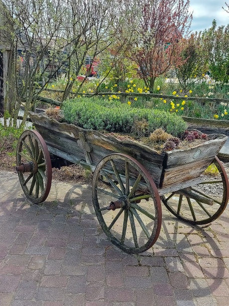 装饰时，旧马车上栽满了鲜花图片下载