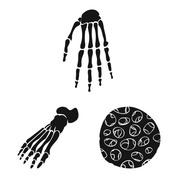 设计生物和医学图标集图片下载