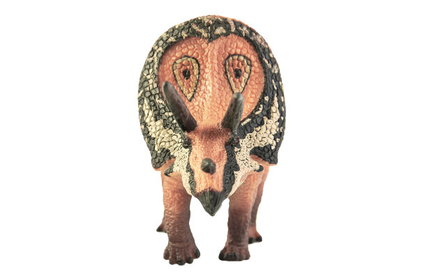 牛角龙，白色背景下的恐龙。剪切路径图片下载