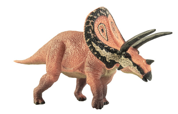 牛角龙，白色背景下的恐龙。剪切路径图片下载