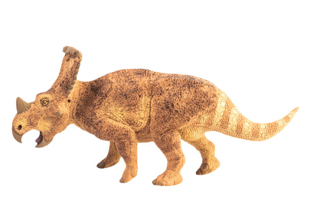 三角龙，白色背景下的恐龙。剪切路径图片下载